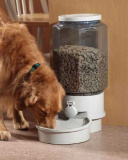 Bowls, alimentatoare, containere pentru câini