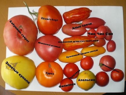 Думки, томати, теоретика, допомога, практикам, мій сад і город