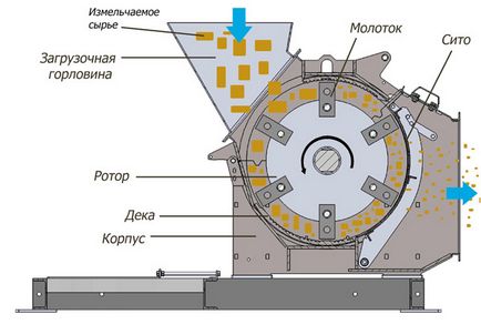 Ciocan concasor pentru cereale (concasor de cereale) principiu, dispozitiv