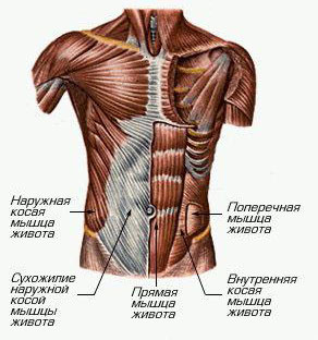 Чи можна накачати прес