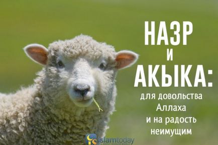 Назр і акика для достатку аллаха і на радість незаможним