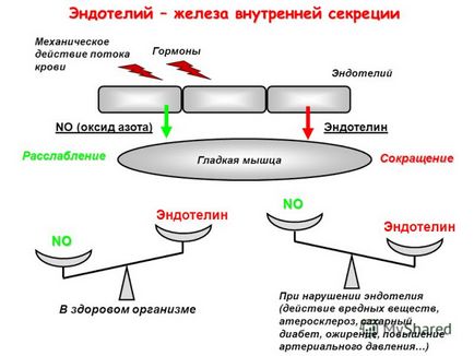 Нітратний цикл, частина 1