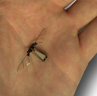 Новини - новини фізики - робототехніка - робот-муха літає як комаха