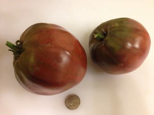 Descrierea și caracteristicile cultivării unei tomate de o rasă a inimii bull