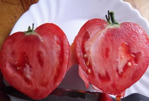 Опис і особливості вирощування томата сорту бичаче серце