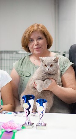 Despre catelus - canisa de club britanic pisici dandy