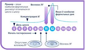 Визначення вагітності за допомогою марганцівки