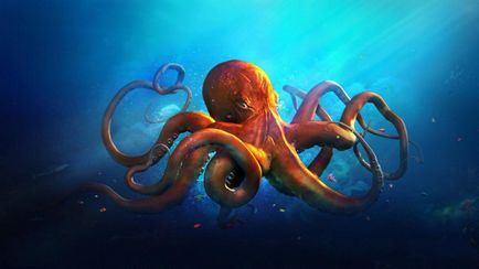 Octopus pericol de specii otrăvitoare