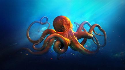 Octopus veszélye a toxikus fajok (kockázat) Octopus veszélye a toxikus fajok