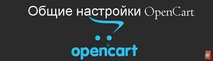 Basics bolt OpenCart ellenőrizzék az első beállítás