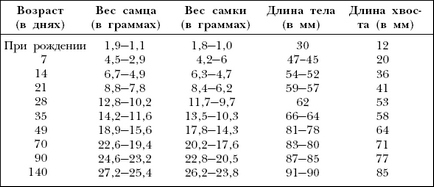 Особливості догляду за молодняком