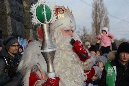 Atenție, pom de Crăciun! Cum să nu cumpere un copac periculos de Anul Nou, un an nou, aif Volgograd