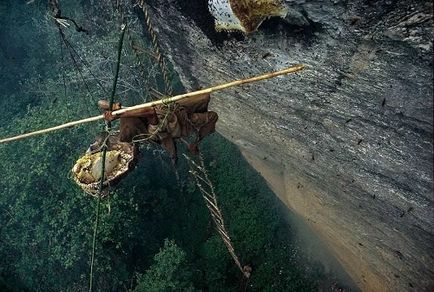 Vânătorii de miere de albine sălbatice