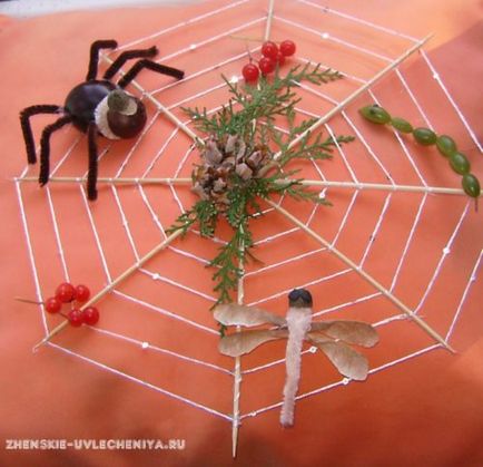 Păianjen cu păianjen de castane și dragonfly din materiale naturale cu mâinile tale