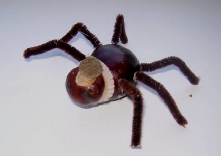 Pókháló pók gesztenye és szitakötők természetes anyagokból készült saját kezűleg