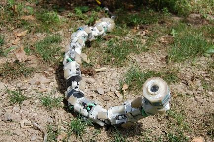 Roboții pneumatici - șerpi se strecoară peste roboți »cum ar fi roboții