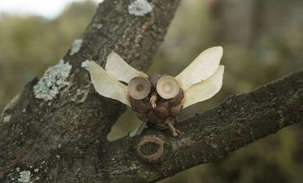 Crafts természetes anyagokból kezüket fotó ötletek és a mester osztály: 2 (saját) Crafts természetes anyagokból kezüket fotó ötletek és a master class 2