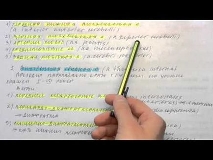 Підключична артерія і її гілки що це таке