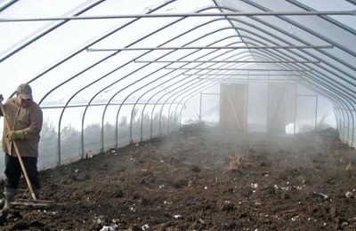 Посадка і вирощування редиски в теплиці взимку на продаж