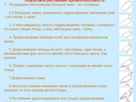 Покрокове малювання орлана-білохвоста посередині листа малюємо великий - презентація 162386-15