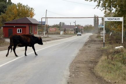 Rușine în ambele case