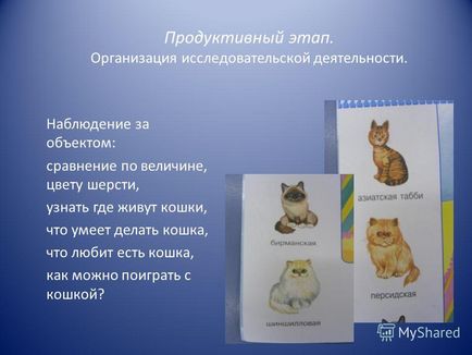 Előadás mik a macska projekt a gyermekek 3-4 éves, a fejét a második pedagógus