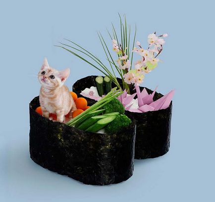 Sushi Cat Adventure