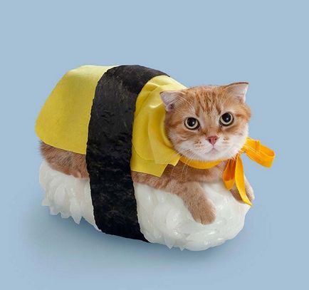 Sushi Cat Adventure