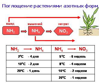 застосування кас