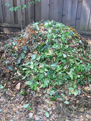 Природні добрива багаторічних трав переробка компосту для дачі