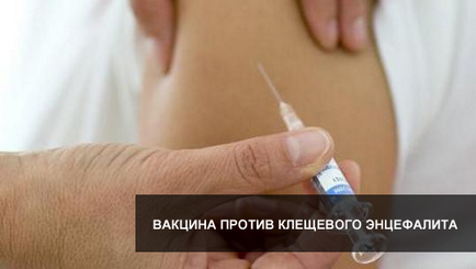 Vaccinarea împotriva encefalitei cauzate de căpușe când și când să se vaccineze, prețul