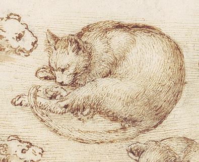 Про котиків Леонардо да Вінчі і підроблену - мадонну - sol omnibus lucet