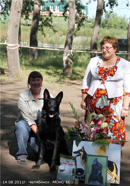 Despre mine - linia rusă - canisa veo