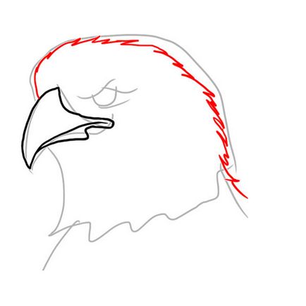 Păsările desenează vulturul chel (simbolul Statelor Unite)