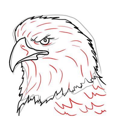 Păsările desenează vulturul chel (simbolul Statelor Unite)