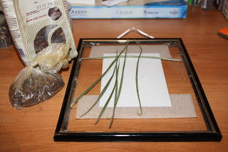 Рамка для фото з кавовими зернами домашній декор
