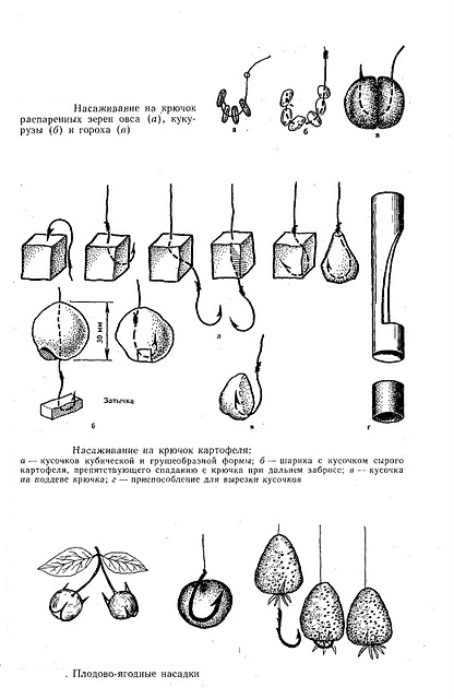 Duză de legume - însoțitorul pescarilor