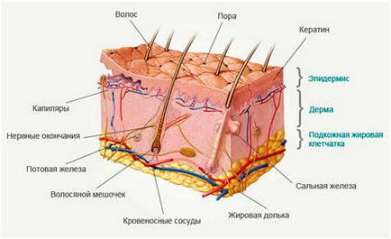 Різні типи голок і сфера їх застосування