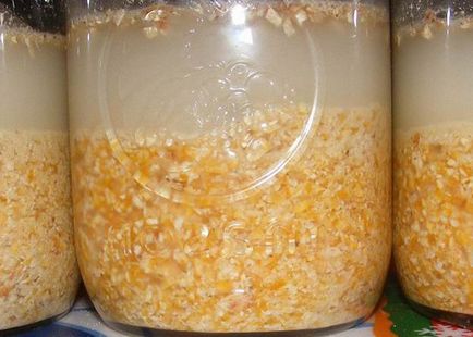Рецепти самогону з кукурудзи як зробити самогон з кукурудзяної крупи і борошна