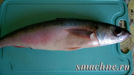 Fish krasnoglazka, yum am (megszórjuk Provence fűszernövények) Fish krasnoglazka ez yum
