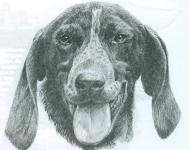Câinii de desen - alfabetizare vizuală - aerografia pentru toată lumea