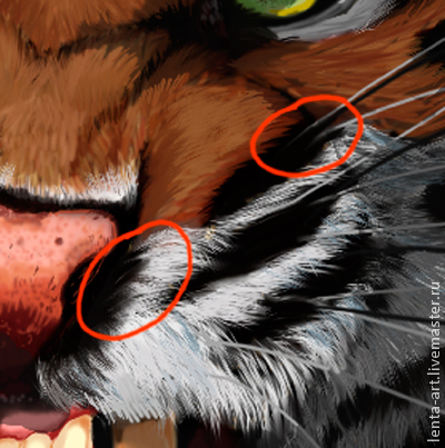 Desenați un tigru în Adobe Photoshop - târg de maeștri - manual, manual