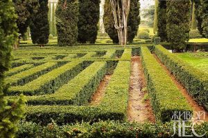 Maze de grădină - revista online 