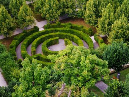 Садовий лабіринт фото як зробити ландшафтний дизайн