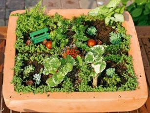 Grădină în miniatură în proiectarea casei