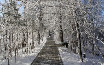 Borovoe (Burabay), az árak, hogy kezelni kapcsolatok, fényképek, leírás