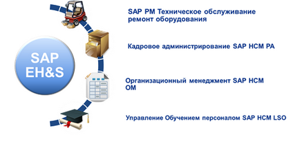 Sap ehs - introducerea unui sistem de management al siguranței și sănătății