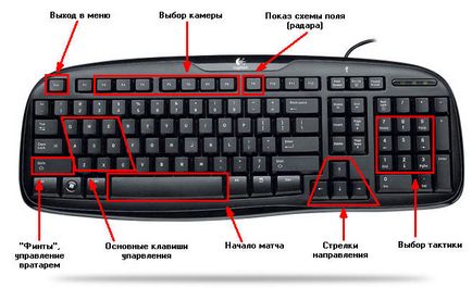 Секрети управління в грі fifa