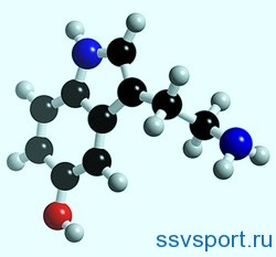 Serotonina este un hormon al fericirii, ce este și cum să o îmbunătățiți?