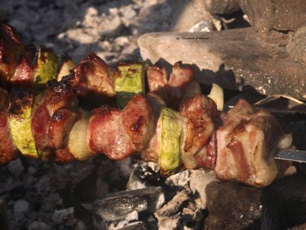 Shish kebab din carne de porc cu vodca - marinata rapida, ne pregatim cu sinceritate